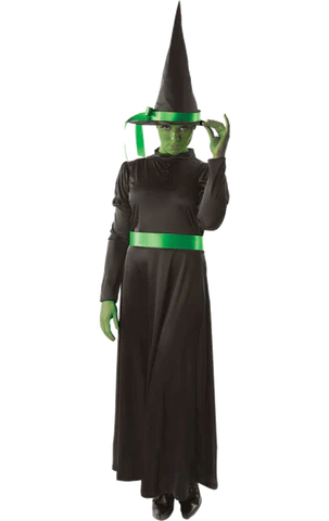 adult wicked witch costume
